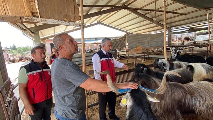 Adıyaman’da Kurbanlık Hayvan Satış Yerinde Inceleme Yapıldı!