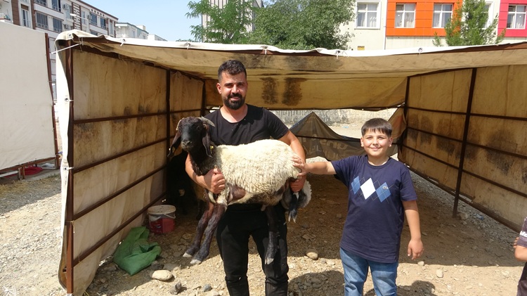 Batman’da Bayramın Ikinci Günü Kurbanlık Yoğunluğu Devam Ediyor! (2)
