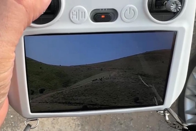 Bitlis’te 26 Kurbanlık Keçi Kaçtı Bakın Nasıl Bulundu! (1)