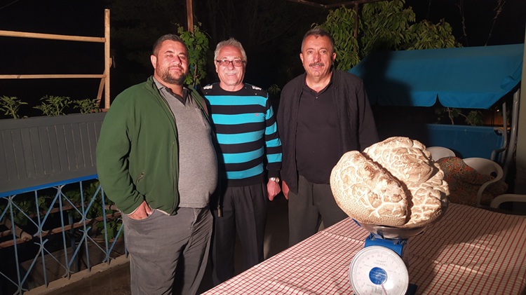 Devasa Büyüklükte Mantarı Görenler Gözlerine Inanamadı Tam 8 Kilogram! (2)
