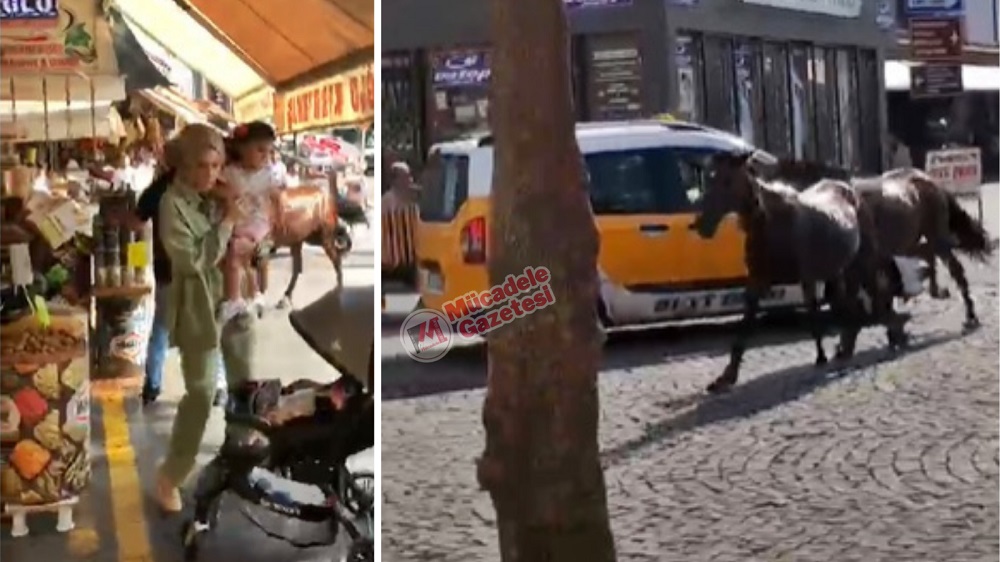 Diyarbakır’da Ilginç Olay Atlar Vatandaşların Arasına Daldı!