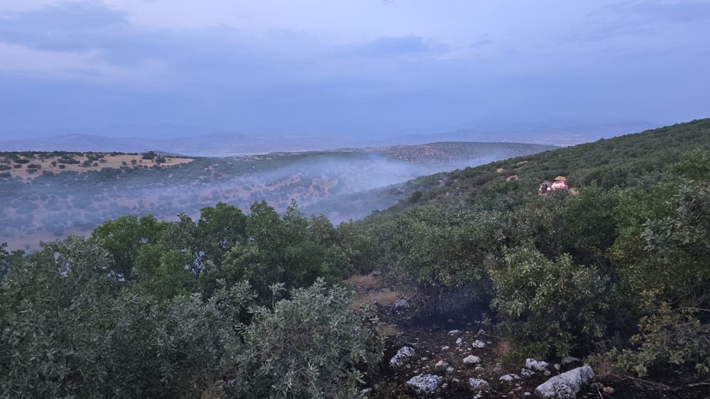 Diyarbakır'da Ormanlık Alanda Örtü Yangını