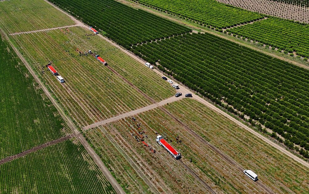 Domatesin Tarla Fiyatı 3 Liraya Kadar Düştü Üreticiyi Üzdü! (2)