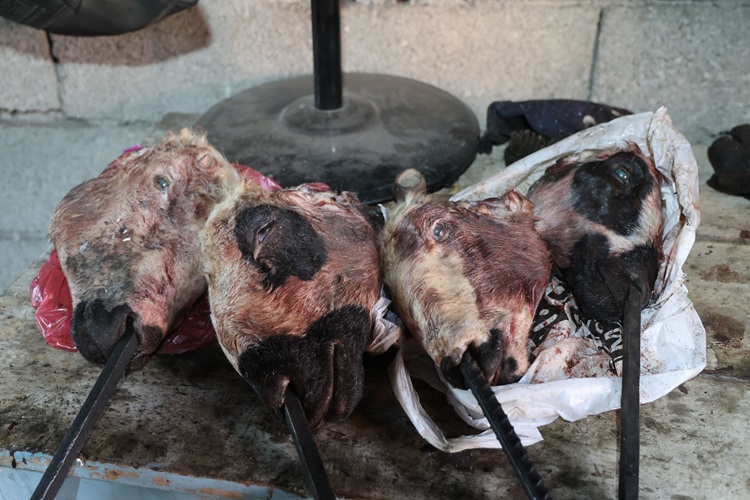 Kurban Bayramı Sonrası “Kelle Paça Ütüleme” Mesaisi Başlıyor! (3)