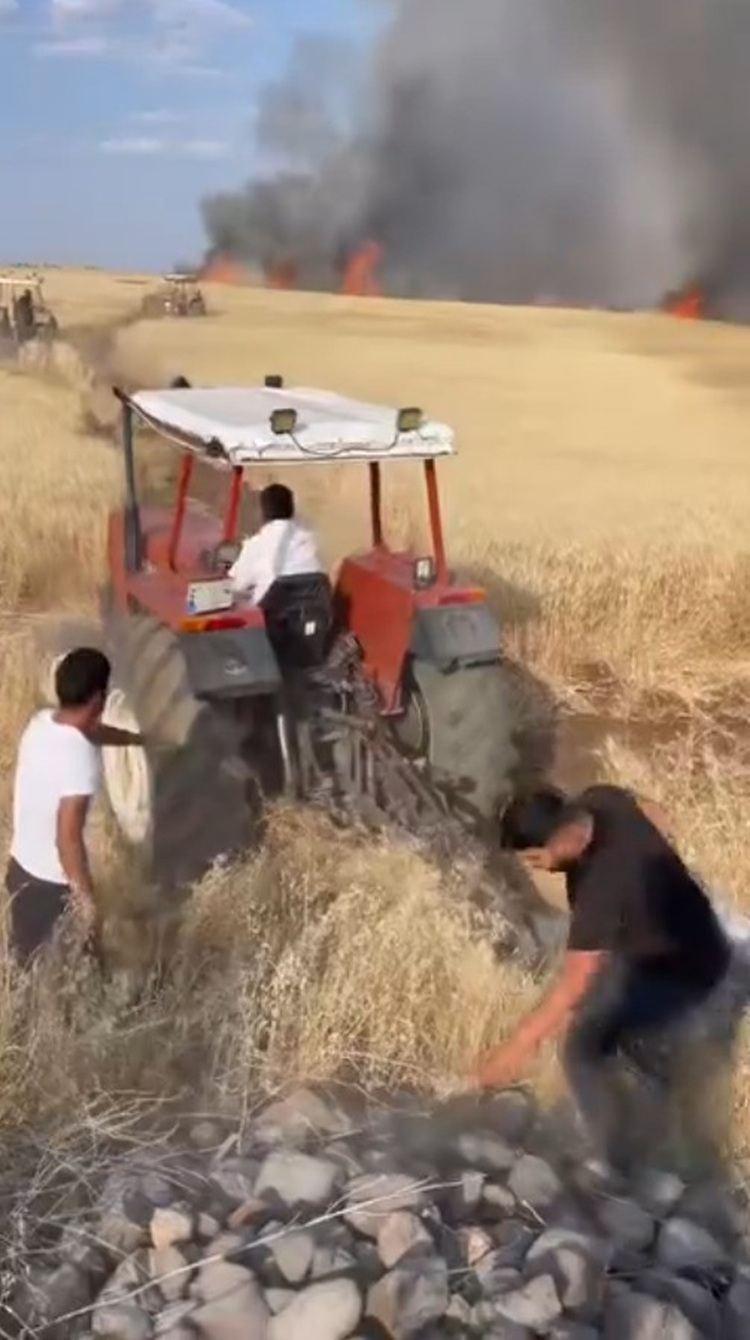 Şanlıurfa’da Buğday Tarlası Küle Döndü!-2
