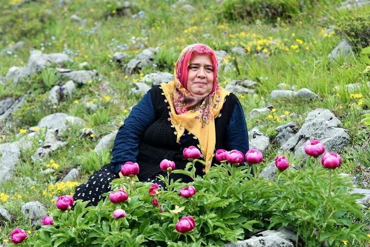 Yılda 10 Gün Açıyor Bu Çiçeği Koparmanın Cezası Dudak Uçuklatıyor! (1)