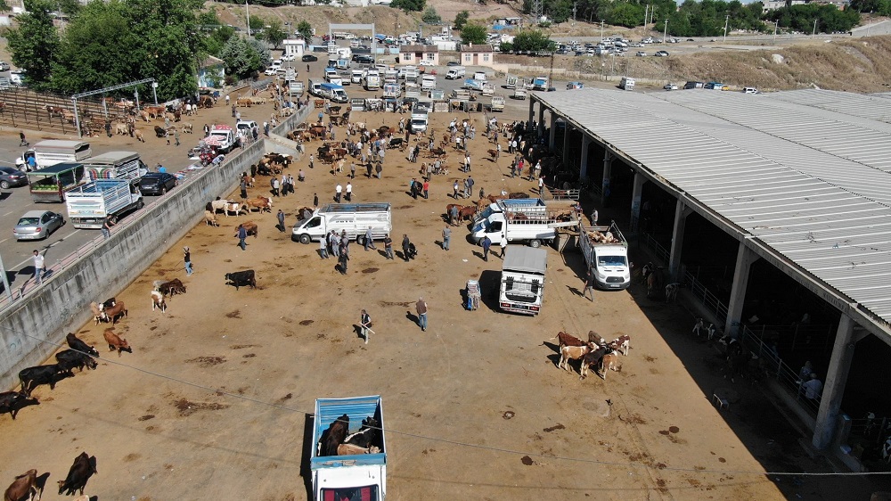 Diyarbakır Canlı Hayvan Pazarı