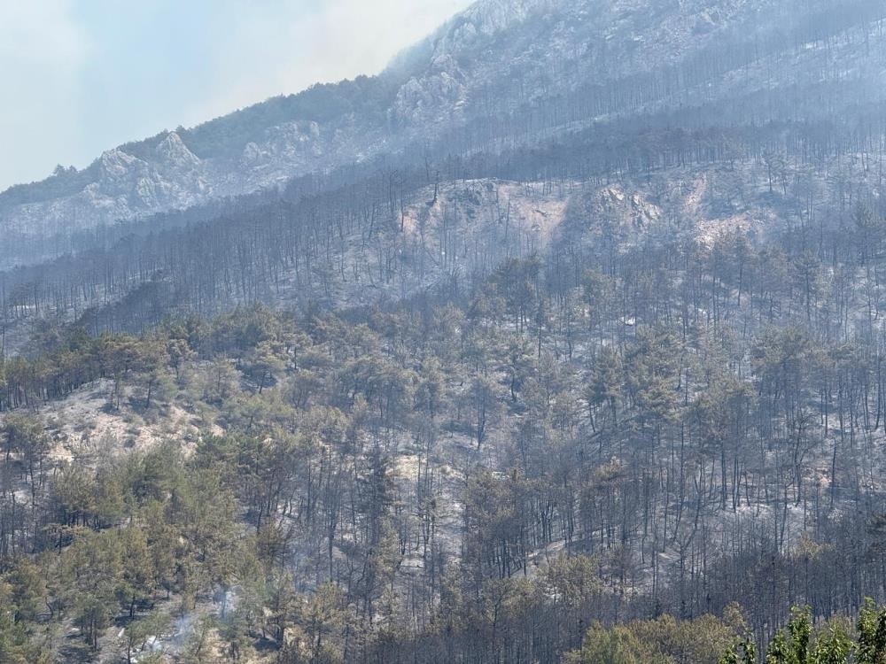 Sakarya Yangını Durdurulamıyor Bir Kente Daha Sıçradı