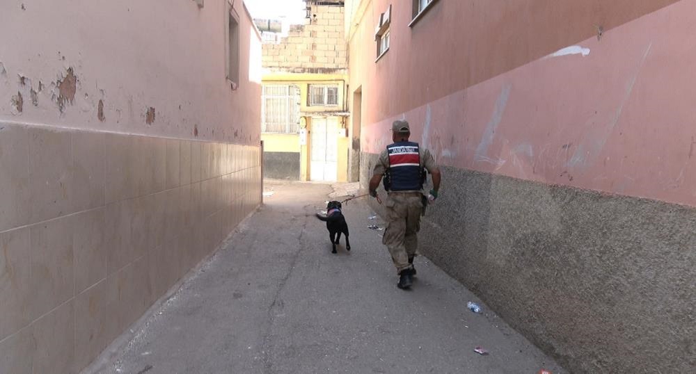 Sokak Jandarma Köpek Olay Yeri
