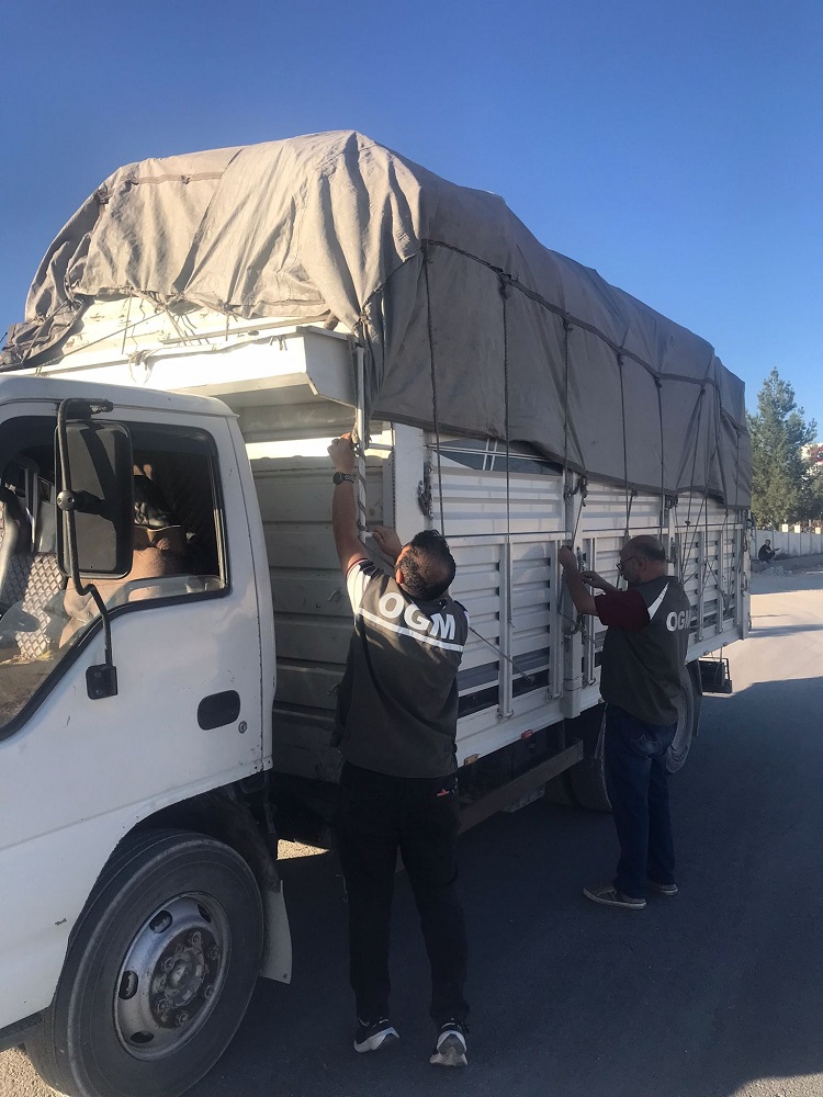 Diyarbakır’da Izinsiz Ağaç Kesitiler Cezası Ağır Oldu! (2)