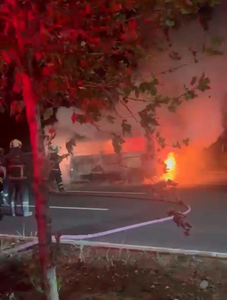 Diyarbakır’da Park Halindeki Minibüs Alev Aldı, Hurdaya Döndü!-1
