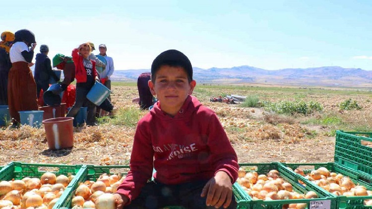 Diyarbakır’dan Ankara’ya Gidiyorlar 5 Yıldır Ekiyorlar! (2)