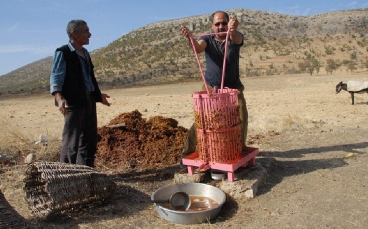 Pestil Sucuk Diyarbakır’da Telaş Erken Başladı Bağ Bozumu Zamanı