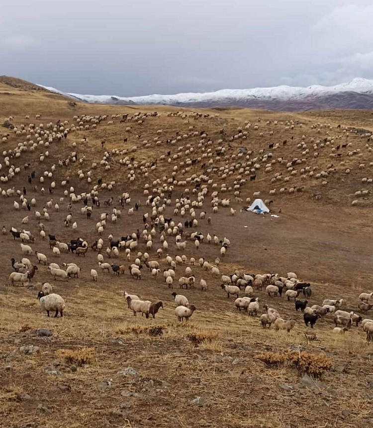 Diyarbakır’a Yağmur Şırnak’a Kar Yağdı Kış Erken Geldi Dedirtti!-1