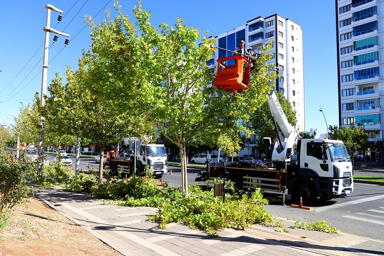 Diyarbakır’da Ağaç Sayısı Belli Oldu Milyonları Aştı!-1