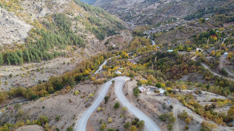 37 Yıl Önce Köylüler Dikmişti Ormana Döndü! (2)