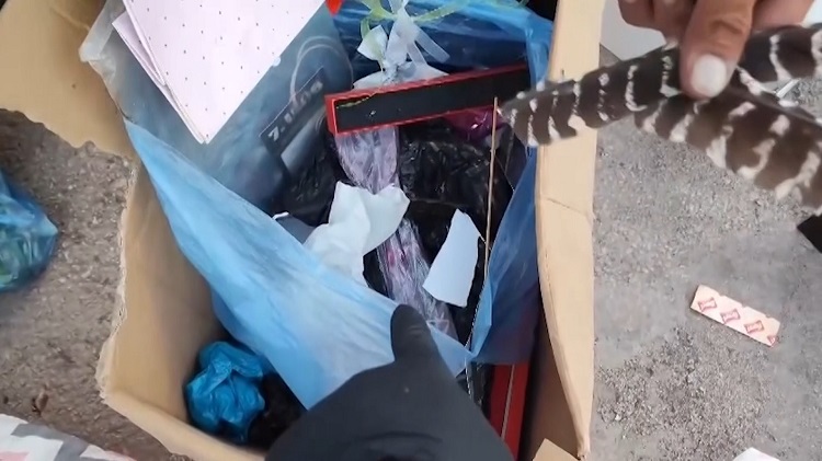 Çöp Çöp Dolaştılar Resmen Servet Buldular!