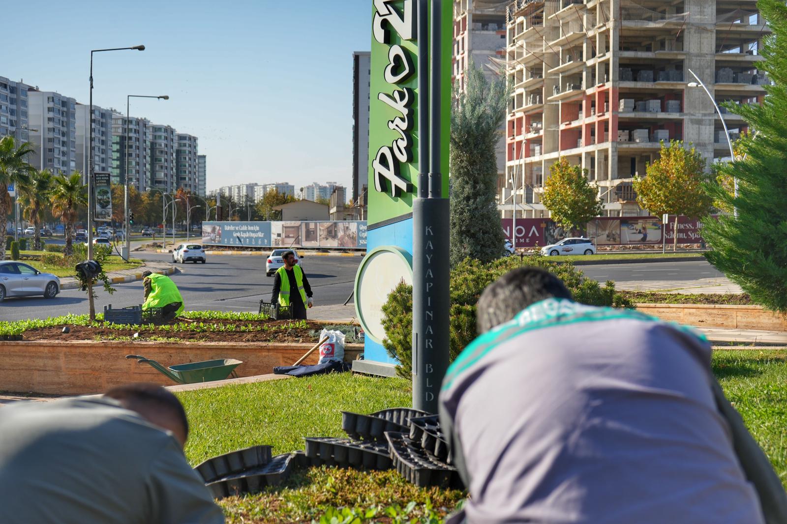 Diyarbakır Yeşilleniyor Tam 10 Bin Kış Çiçeği
