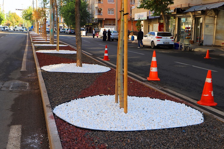 Diyarbakır'da Su Tasarrufu Odaklı 'Kuru Peyzaj' Sırrı Bakın Caddeler Nasıl Güzelleşti! (1)