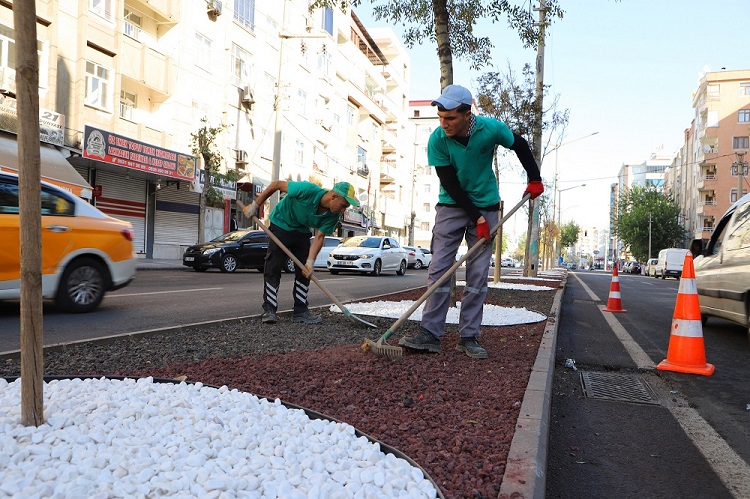 Diyarbakır'da Su Tasarrufu Odaklı 'Kuru Peyzaj' Sırrı Bakın Caddeler Nasıl Güzelleşti! (2)