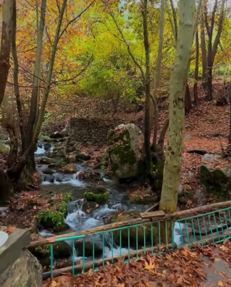 Diyarbakır'ın Gizli Cenneti Sonbahar’da Ayrı Güzel! (3)