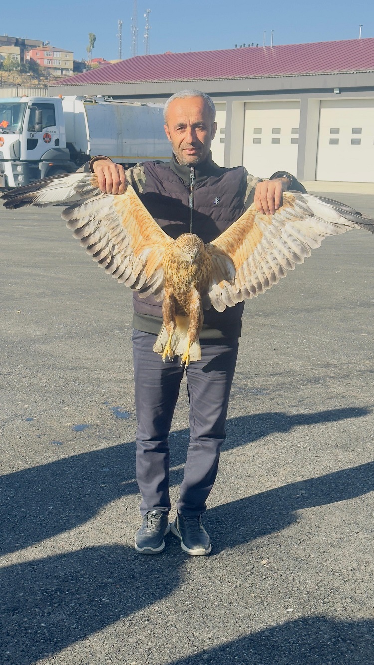 Hakkari’de Yaralı Halde Bulundu Hemen Tedavi Altına Alındı!