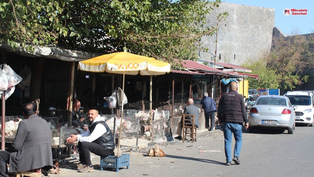 Yılbaşı Yaklaşıyor İşte Diyarbakır’da Hindi Fiyatları