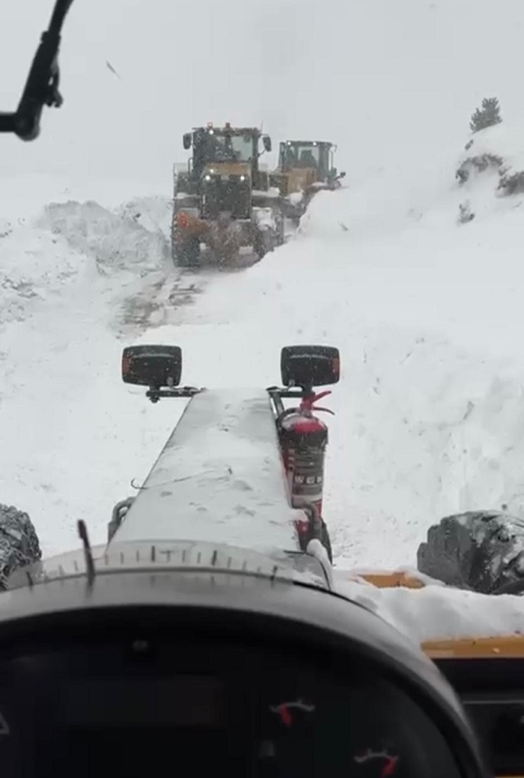 Arama Çalışmaları 3 Çoban