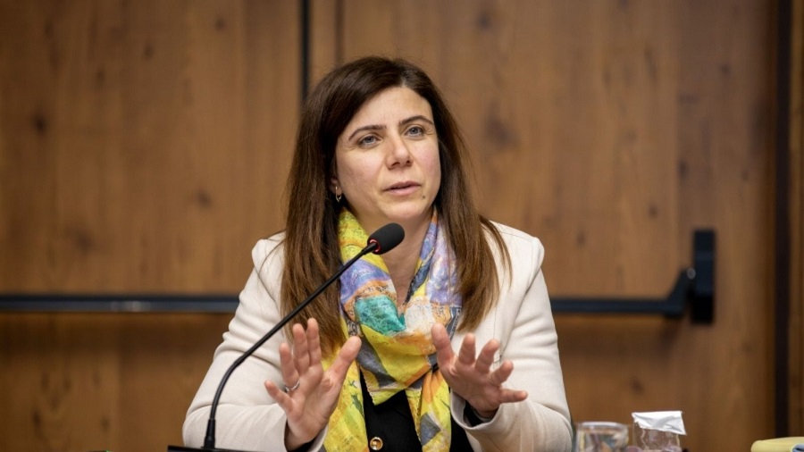 Diyarbakır Büyükşehir Başkanı Serra Bucak