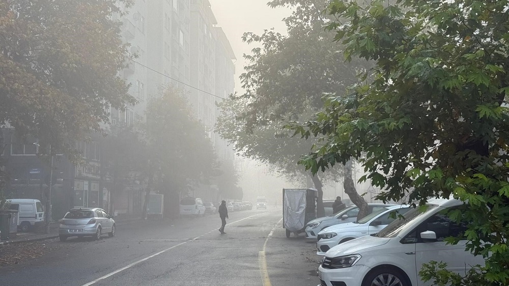 Diyarbakır Hava Trafiğine Yoğun Sis Engeli Uçuşlar Ertelendi! (2)