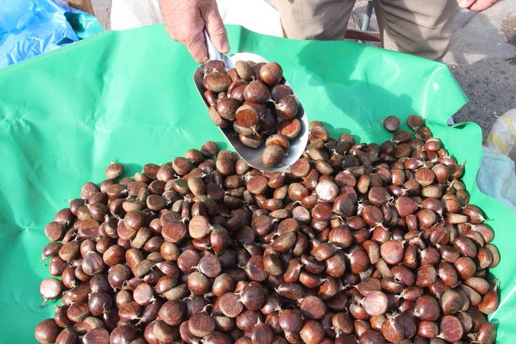 Hasadı Zor Oluyor Satışı Sabır Istiyor Diyarbakır’da Kilosu 400 Tl! (1)