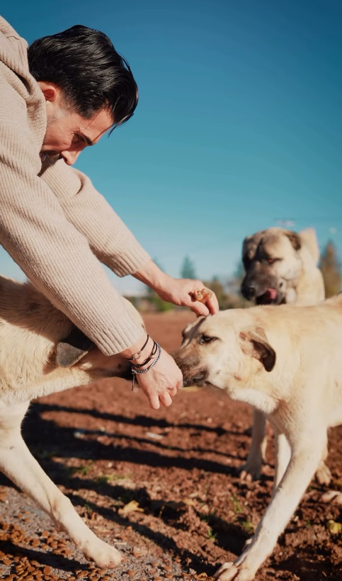 Hasan Ali Kaldırım