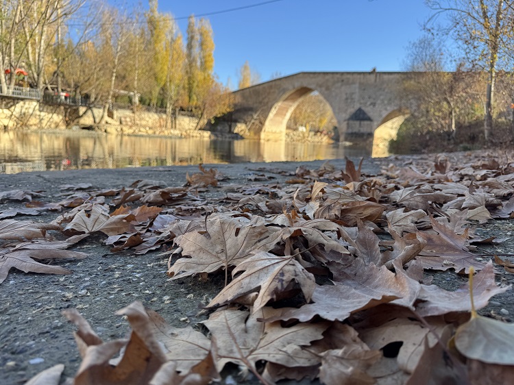 Yapraklar Döküldü Artuklu Köprüsü
