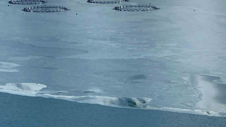 Diyarbakır Sınırında 'Sibirya' Soğuğu Baraj Tamamen Dondu!1 Çat Barajı (1)