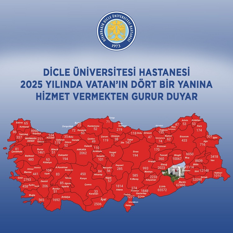 Diyarbakır'a En Çok Hangi Ilden Hasta Geldiği Belli Oldu Liste Şaşırttı!