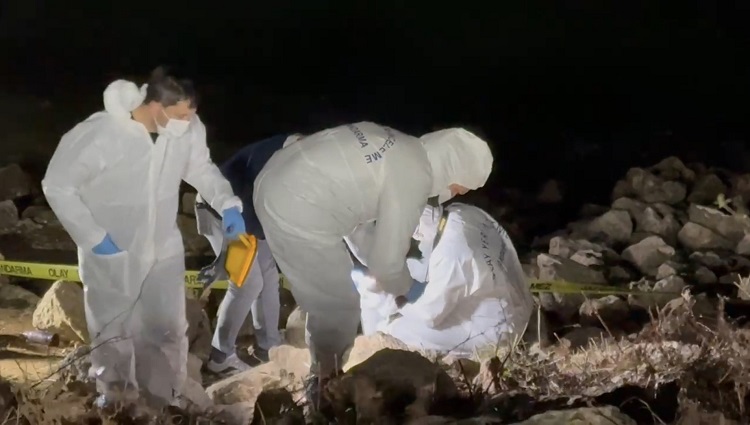 Elif Kumal Göl Kenarında Bulundu Adli Tıp