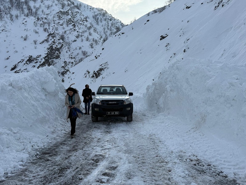 Kulp Belediye Kar Yağış