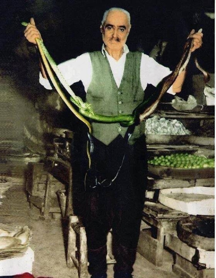 Resmi Tarihin Sustuğu, Diyarbakır’ın Unutmadığı Gönül Sultanı! (1) Şeyp Güzel