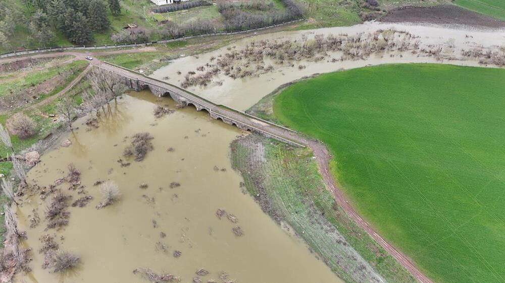 Devegeçidi Köprüsü Diyarbakır Balık
