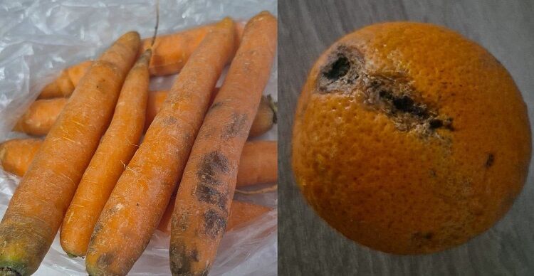 Diyarbakır’da Internetten Alışveriş Yaptı Ürünleri Görünce Şok Oldu! (1)