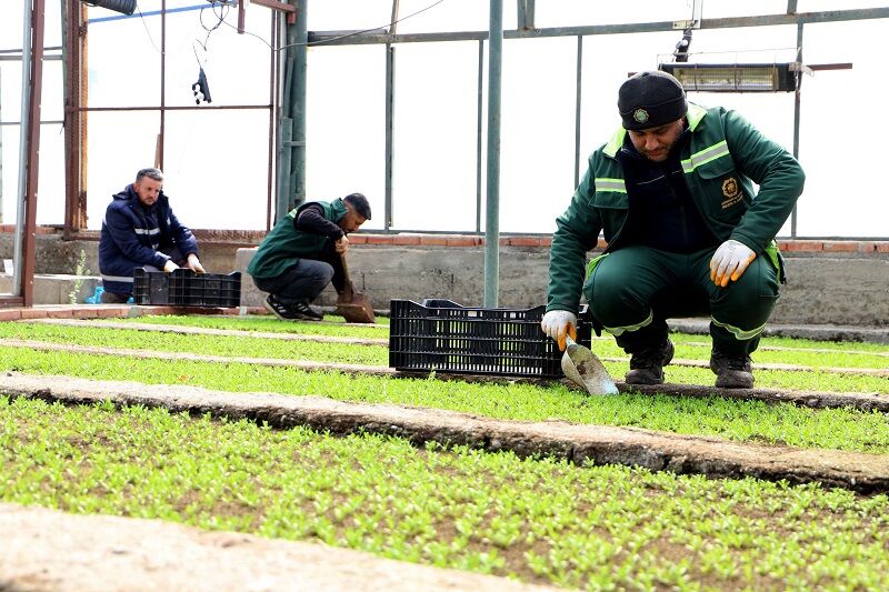 Diyarbakır’da Park Ve Kavşaklar Artık Böyle Olacak 2 Milyon Çin… Çiçek Büyükşehir