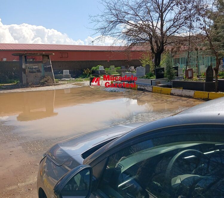 Mezarlık Mı Göl Mü Diyarbakır Bu Manzarayı Konuşuyor! (1)