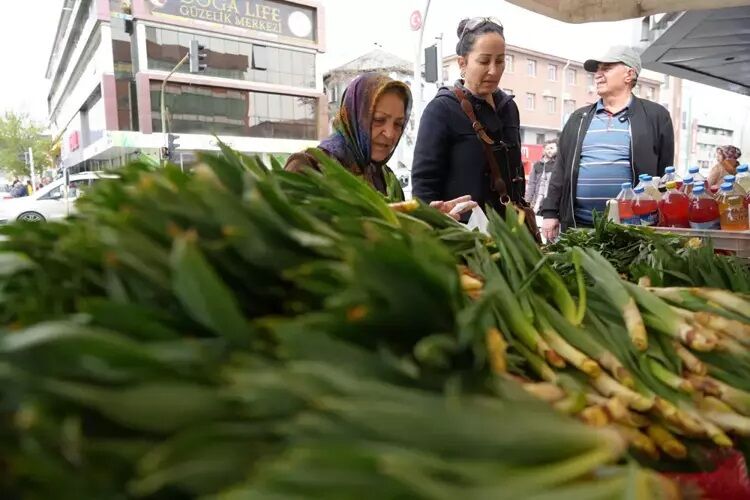 Dağlardan Toplanan Doğal Antibiyotik Diyarbakır Tezgahlarında Çiriş Otu Gulik
