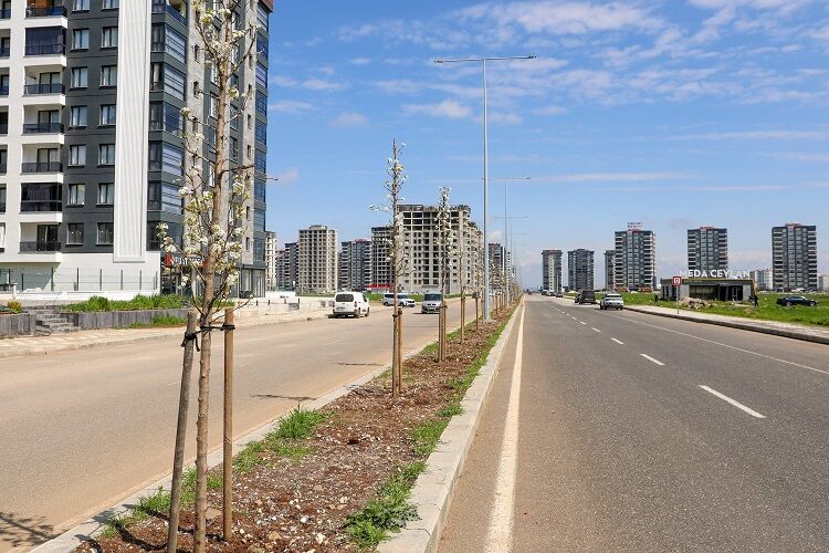 Diyarbakır’a Nefes Olacak Son 1 Yılda Dikilen Ağaç Sayısı Belli Oldu! (2)