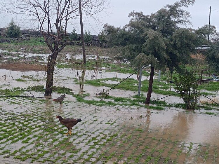 Diyarbakır’da Atık Skandalı Mahalleli Isyan Bayrağını Açtı! (2)