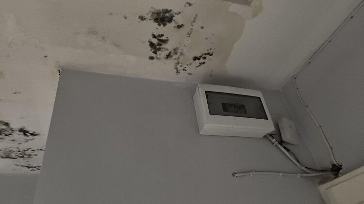 Diyarbakır’da Bir Ailenin Inadı, 4 Ailenin Felaketi Mi Olacak İddia Vahim! (1)