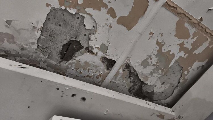 Diyarbakır’da Bir Ailenin Inadı, 4 Ailenin Felaketi Mi Olacak İddia Vahim! (2)