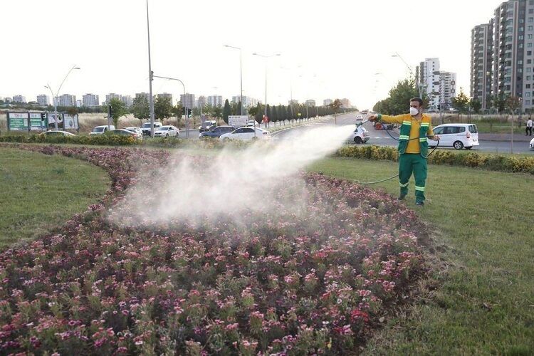 Diyarbakır'da Çin Karanfilleri Toprakla Buluştu-3