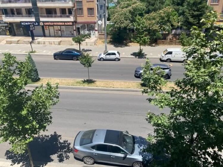 Diyarbakır’da Yeşil Alan Alarmı Susuzluk Kurak Bıraktı!-1