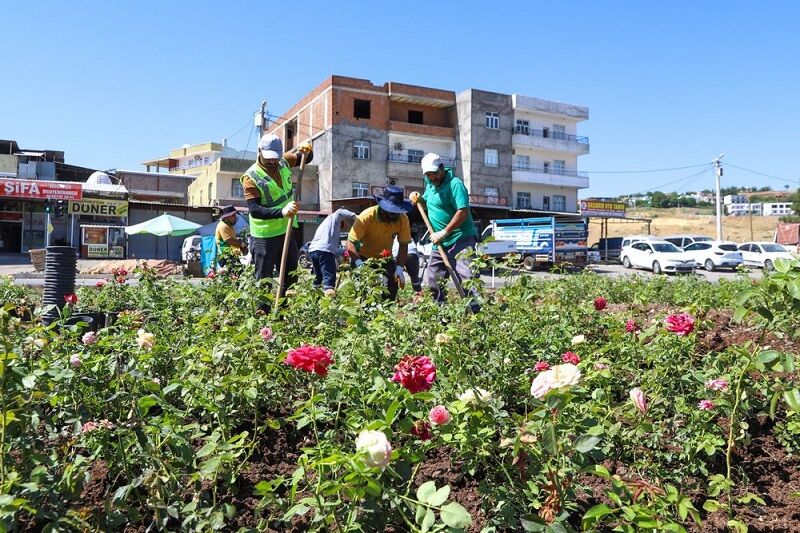 Çiçeklendirme Mardin–Diyarbakır Yoluna 14 Kilometrelik Yeşil Koridor